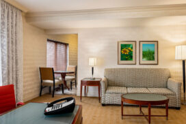 Luxury Accommodations - Viana Hotel & Spa